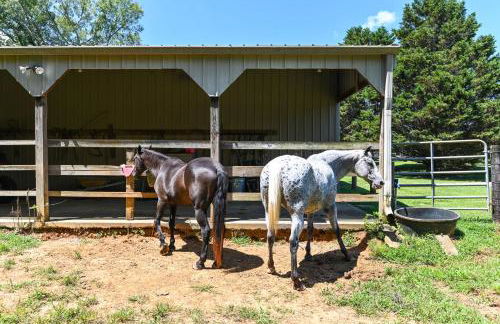 Lebanon Family Getaway with Pool, Bikes and Trails! - Foto 44