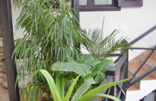 Ferienwohnung mit kleiner Innenhof-Terrasse im mediterranen Stil - Foto 21