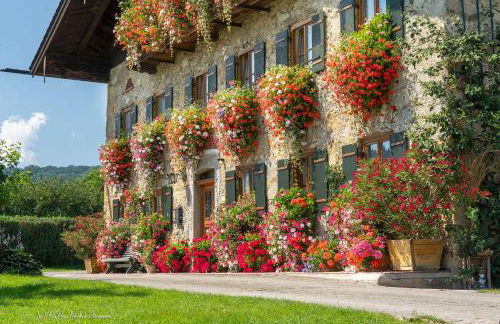 Bachtelhuber-Hof - Foto 1