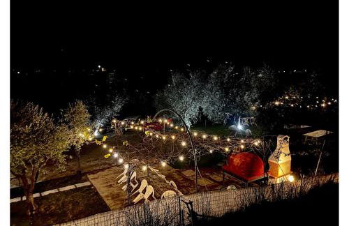 Le Cerbaie - Casa Vacanze - Foto 7