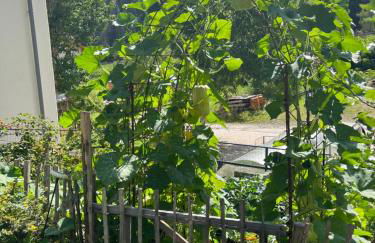 Casa Alice - Foto 26