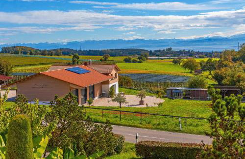 Weingut Geiger - Foto 52