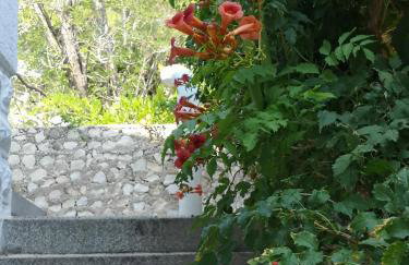 Apartments Bassi - Foto 10