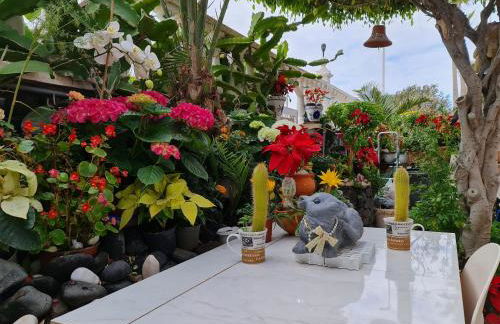 Apartamentos Los Delfines - Foto 63