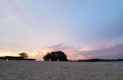 Sunshine Room by harbor downtown beach I-95&Train - Foto 35