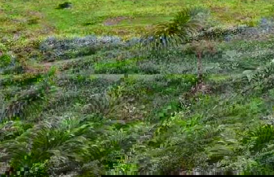 Casa Chica Villas Cruz Mayor - Foto 17