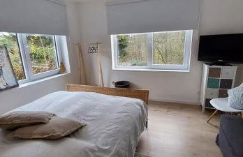 Ferienwohnung Bachstelze mit privater Terrasse - Foto 18