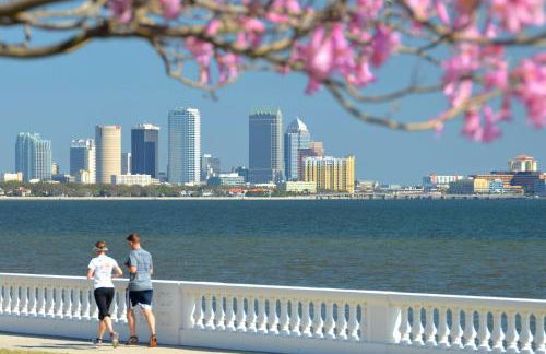 Heated Pool! Paradise in Midtown Tampa 3B2B - Foto 55