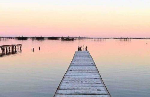 Oasis Cove Côté Étang, accès baignade, proche plage - Foto 30
