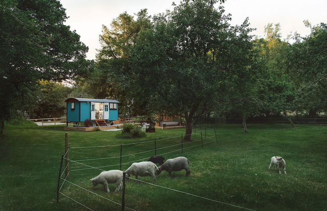 The Wriggly Tin & Baa Spa at Tregoose Old Mill - Foto 19