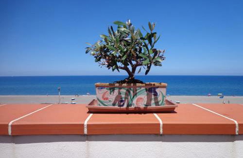 Vacanze al Mare Patrizia's Sweet Home - Foto 1