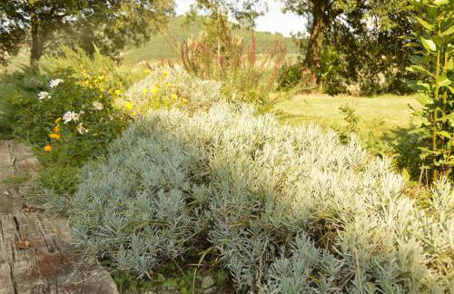 Agriturismo Riparossa - Foto 68