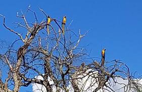 Villa de Assis Suítes - Foto 58