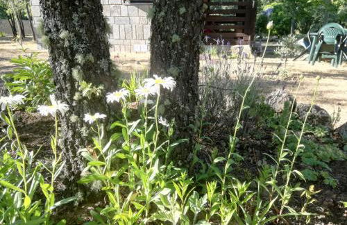 Cabañas Vallecino - Foto 5