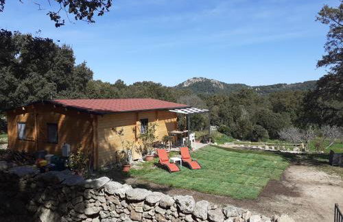 Eco Lodge nella natura Con Piscina privata "La Grande Quercia" - Foto 13