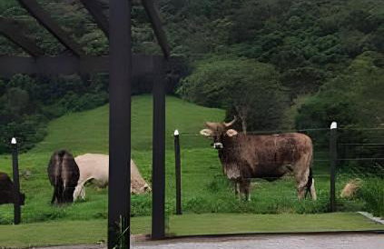 Cabaña Triángulo del Sol | Vista a las montañas | Hidromasaje | Aire - Foto 22