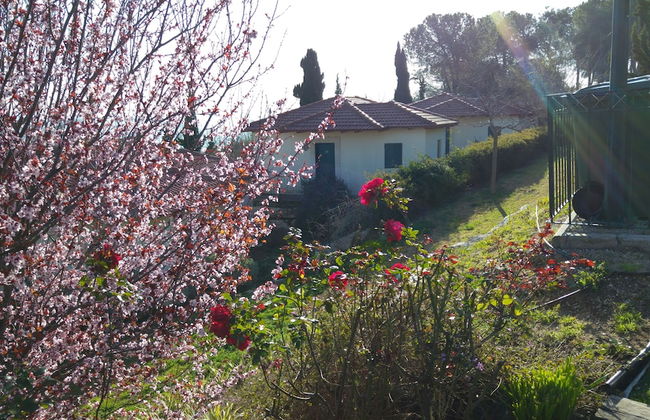 Shoresh Green Hills Family Suites Hotel - Foto 20