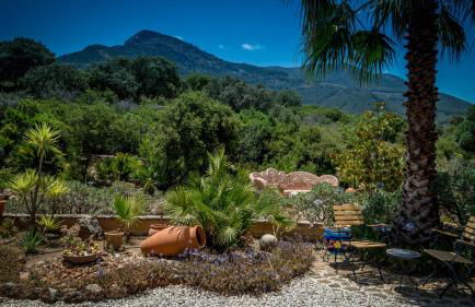 Finca Sonrisa - Photo 40