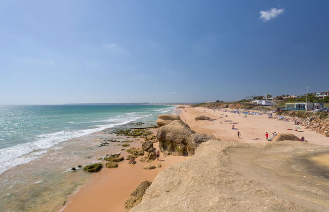 Flor de Maio - Foto 27