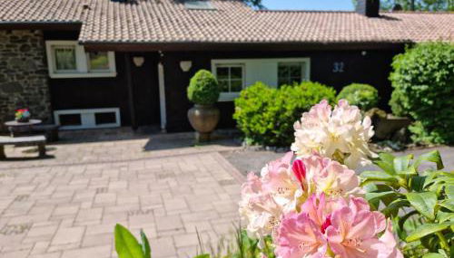 Ferienhaus Vogelsbergblick, Fernblick, Sauna, Kamin, 1700m eingezäunt in Alleinlage - Foto 4, Garden, Garden view