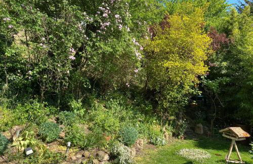 Pantone Ultra - Foto 24