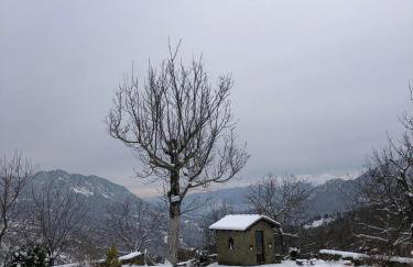 Παραδοσιακή πέτρινη κατοικία στην Βλάχα Ελάτης - Foto 29