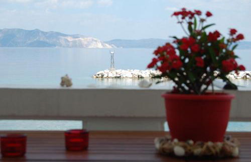 Asmini Studios - Foto 27