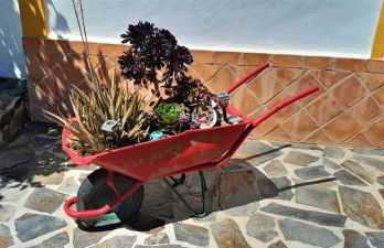 Villa Bella Sirena - Foto 19