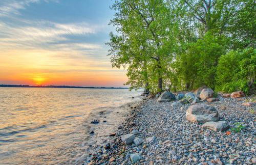 The Bird's Nest - Foto 2