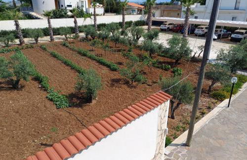 Oasi del Borgo - Foto 43