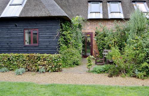 Chive - E4326 - Foto 1