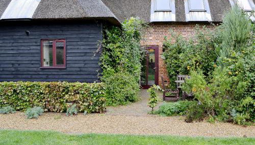 Chive - E4326 - Foto 1