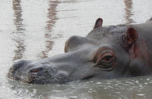 AMC Flamingo Land Caravan, Motorhome & Campervan Hire - Foto 24