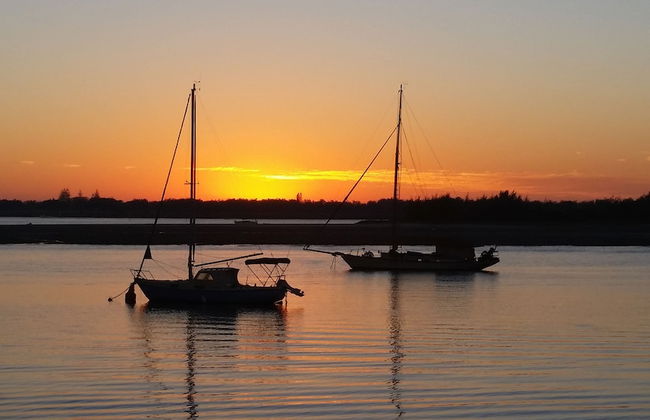 Beaconlea Tower Apartments - Photo 57