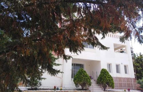 Treasures B&B - Foto 8