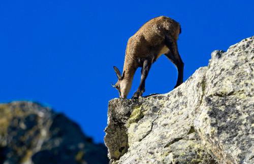 Gite de charme 3 étoiles - Foto 19