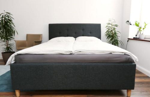 Villa Alexandra 1897 Wohnung Maria - Foto 13