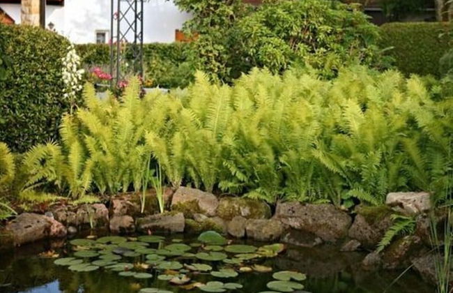 Holiday Home Anja in Motten - Foto 21