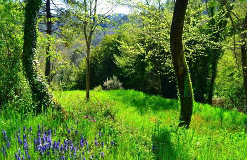 Dreamy Cottage in Trebbio with Pool - Foto 29