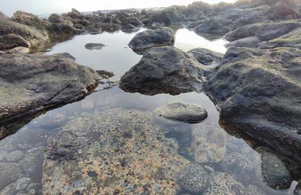 Casa La Caracola - Photo 6