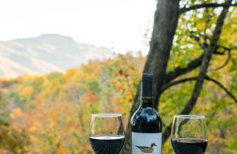 S'More To Love - Foto 57