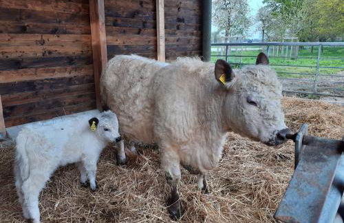 Ferienwohnung Kerstenhof - Foto 22