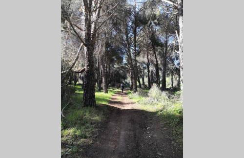 Susan Home - Foto 51