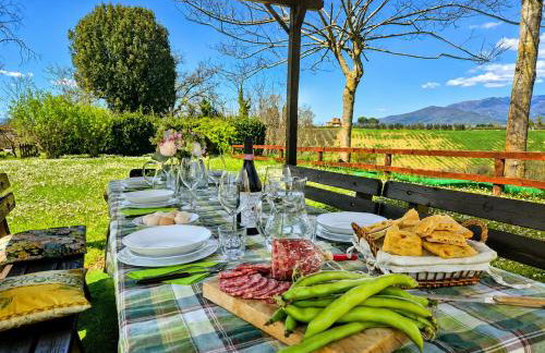 Agriturismo il Pino - Bioagricoltura - Foto 34