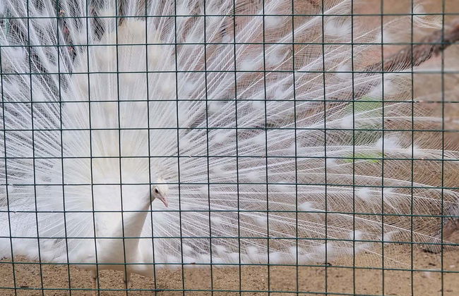 Parc Samá Self-Guided Day Trip - Photo 7