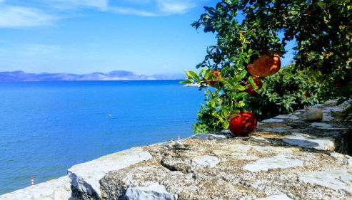 Seafront apartment in Kiveri, near Nafplion. - Foto 2, Garden