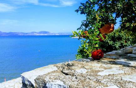 Seafront apartment in Kiveri, near Nafplion. - Photo 2