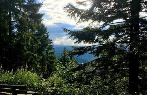 Blackforest Apartment - Foto 30