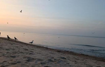 Apartament Skorpion Marina & Spa Sagaris Dziwnów - Foto 15