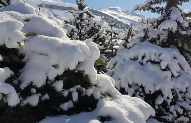 Résidence : Le Crystal Chalet - Foto 7